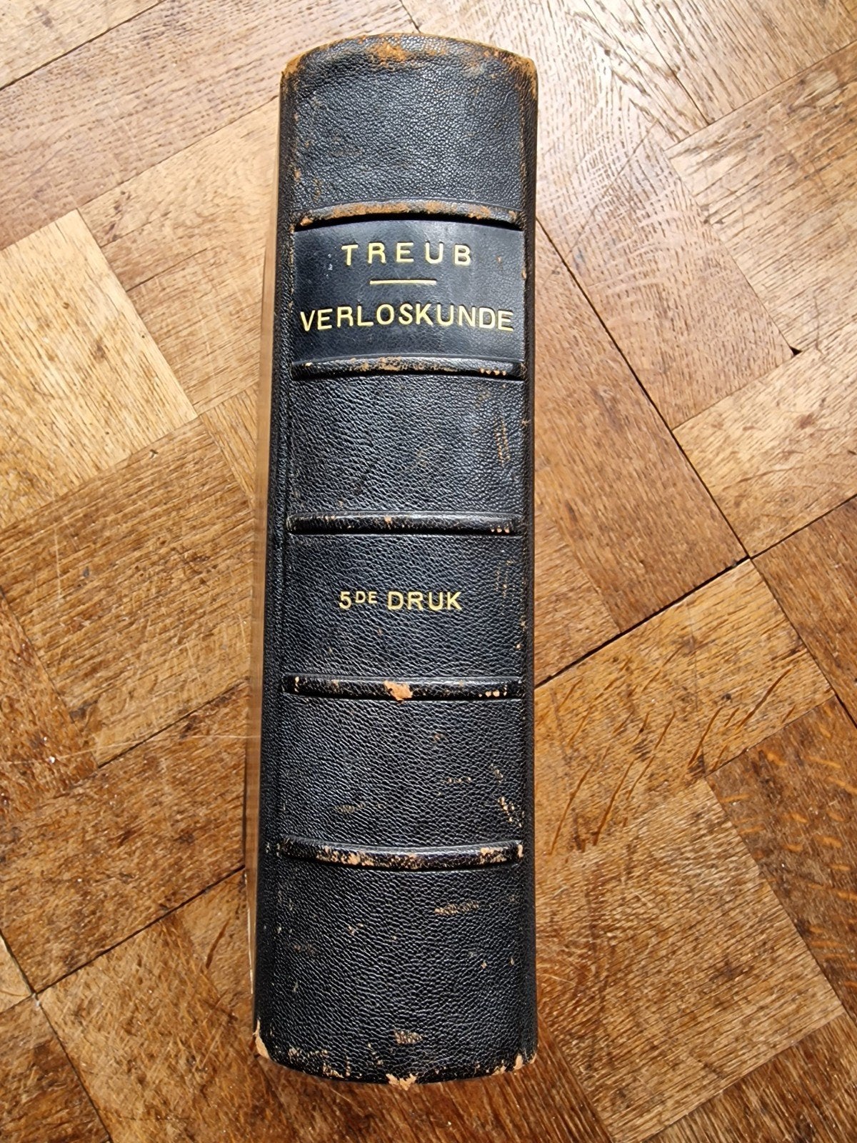 Treub Verloskunde 5e Druk - Zeldzaam Medisch Boek 1913, Ophalen of Verzenden, Beta, Gelezen, Prof. Hector Treub