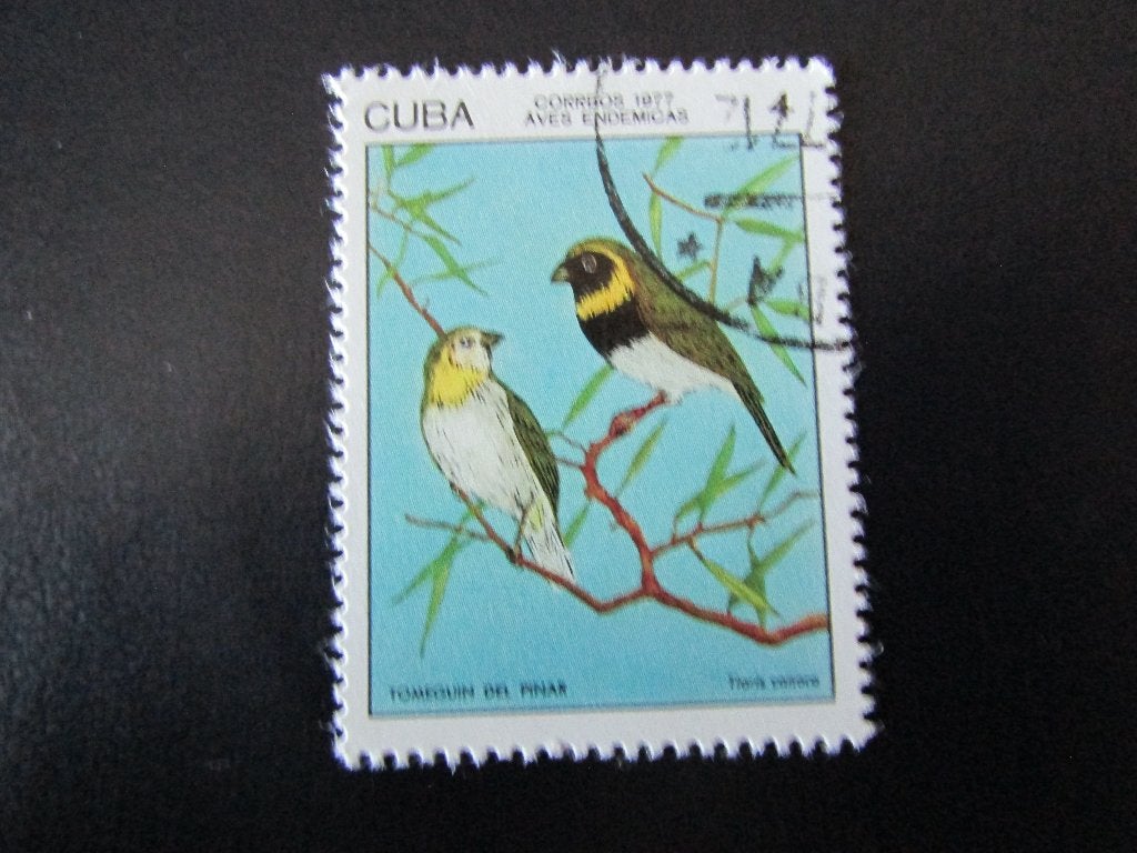 Postzegel Vogel: Kleine Cubavink uit Cuba, Ophalen of Verzenden, Gestempeld, Dier of Natuur