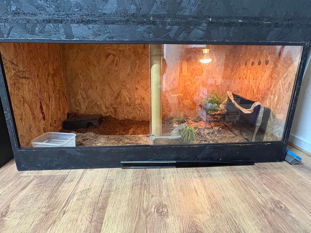 Terrarium 120x60x60, Dieren en Toebehoren, Ophalen, Gebruikt
