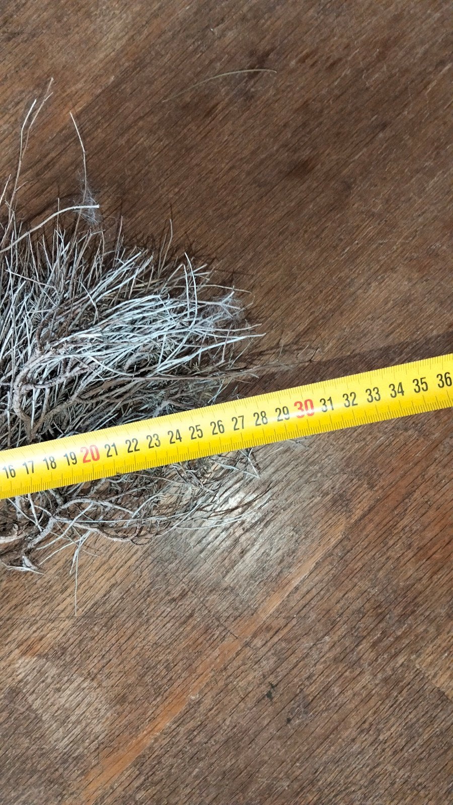 Klein bosje gedroogde takken, Huis en Inrichting, Woonaccessoires | Droogbloemen, Gebruikt, ., Ophalen of Verzenden, .