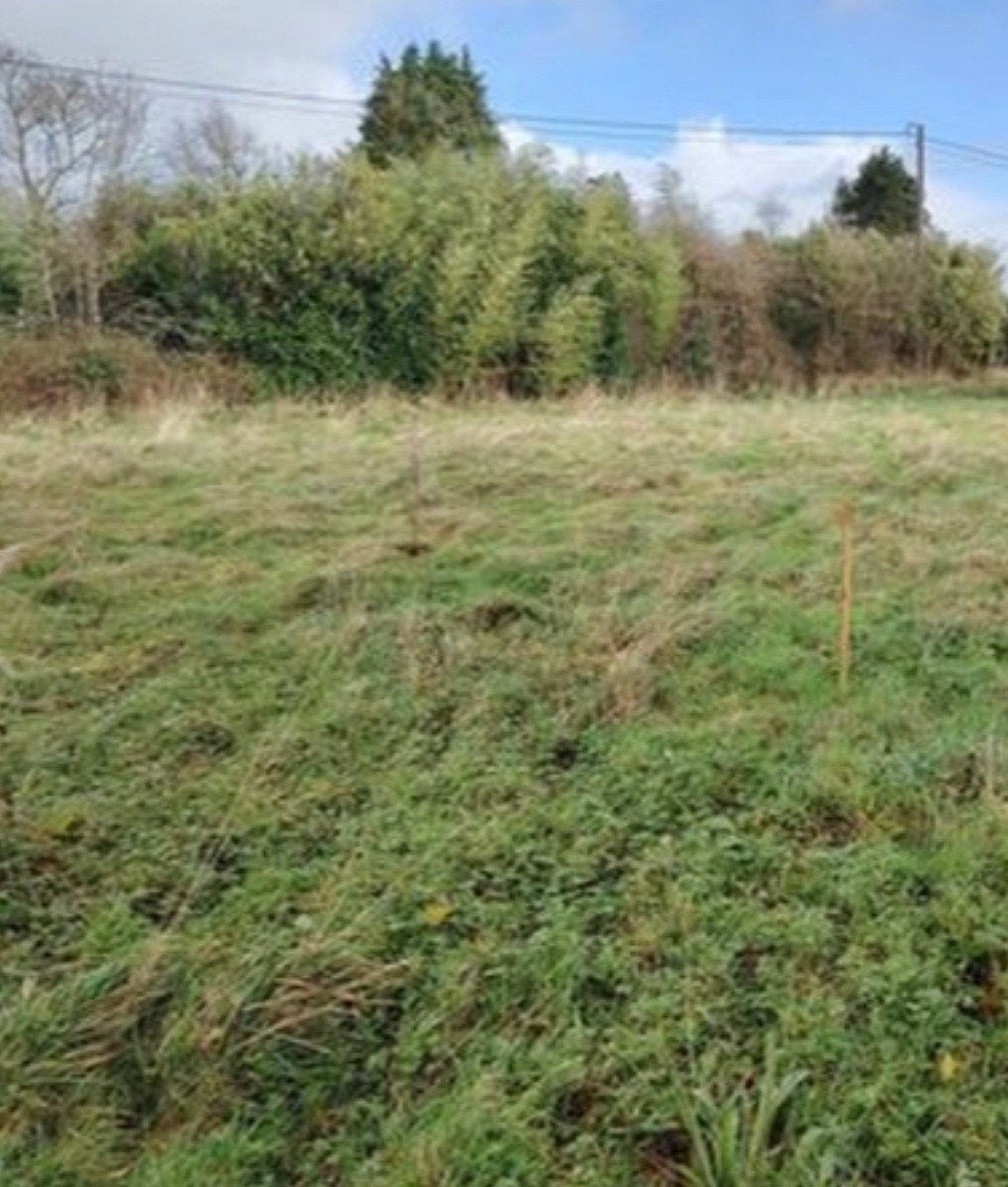natuur,hobby perceel huur of koop gevraagd, Dieren en Toebehoren, Stalling en Weidegang