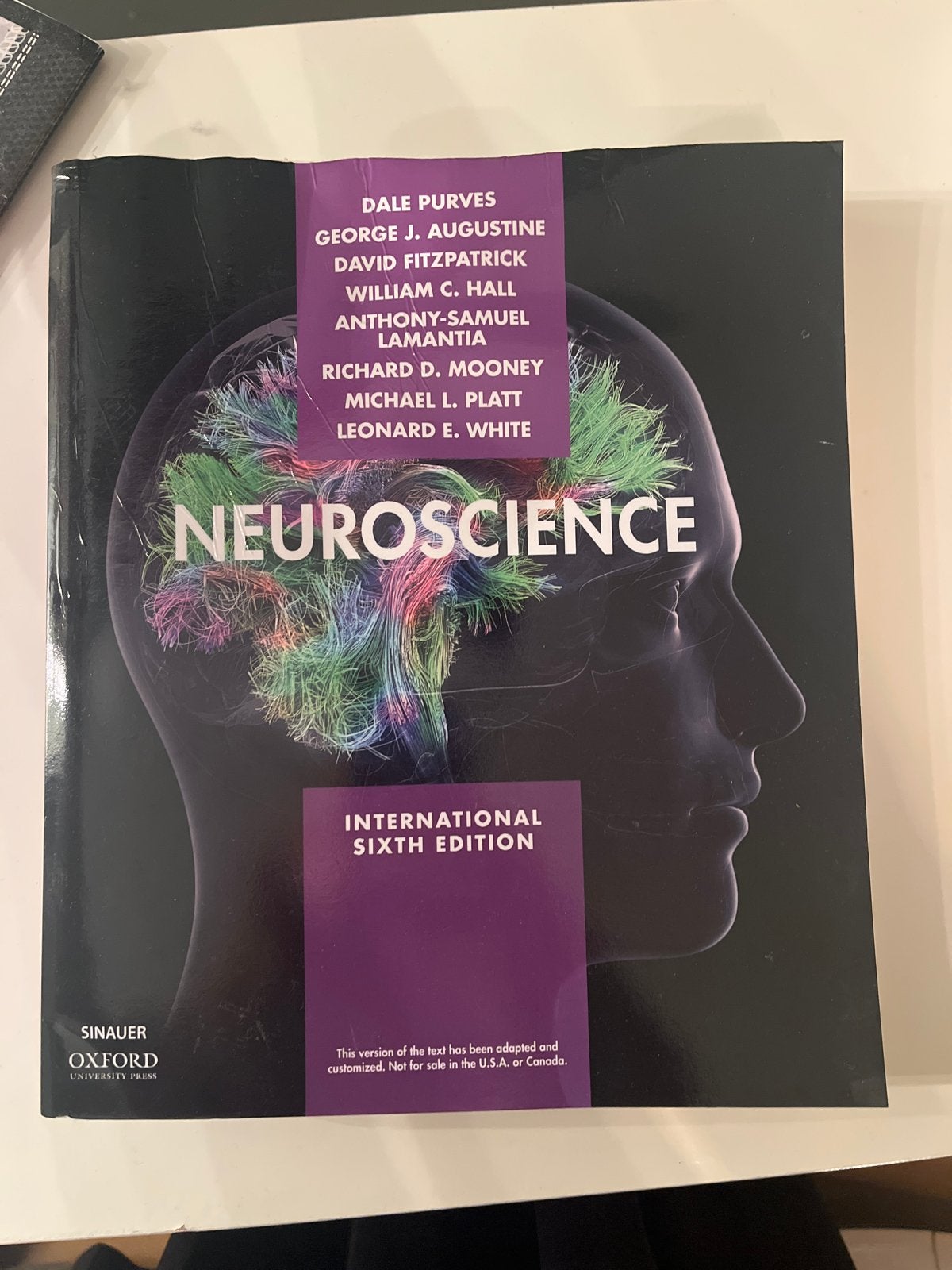 Neuroscience - International Sixth Edition, Boeken, Ophalen of Verzenden, Beta, Zo goed als nieuw, WO