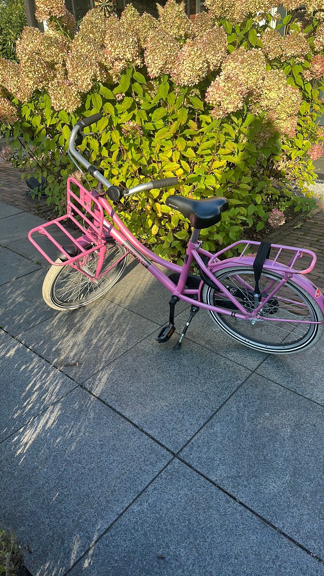 Meisjesfiets Alpina 20 inch, Overige merken, Terugtraprem, Gebruikt, Ophalen of Verzenden