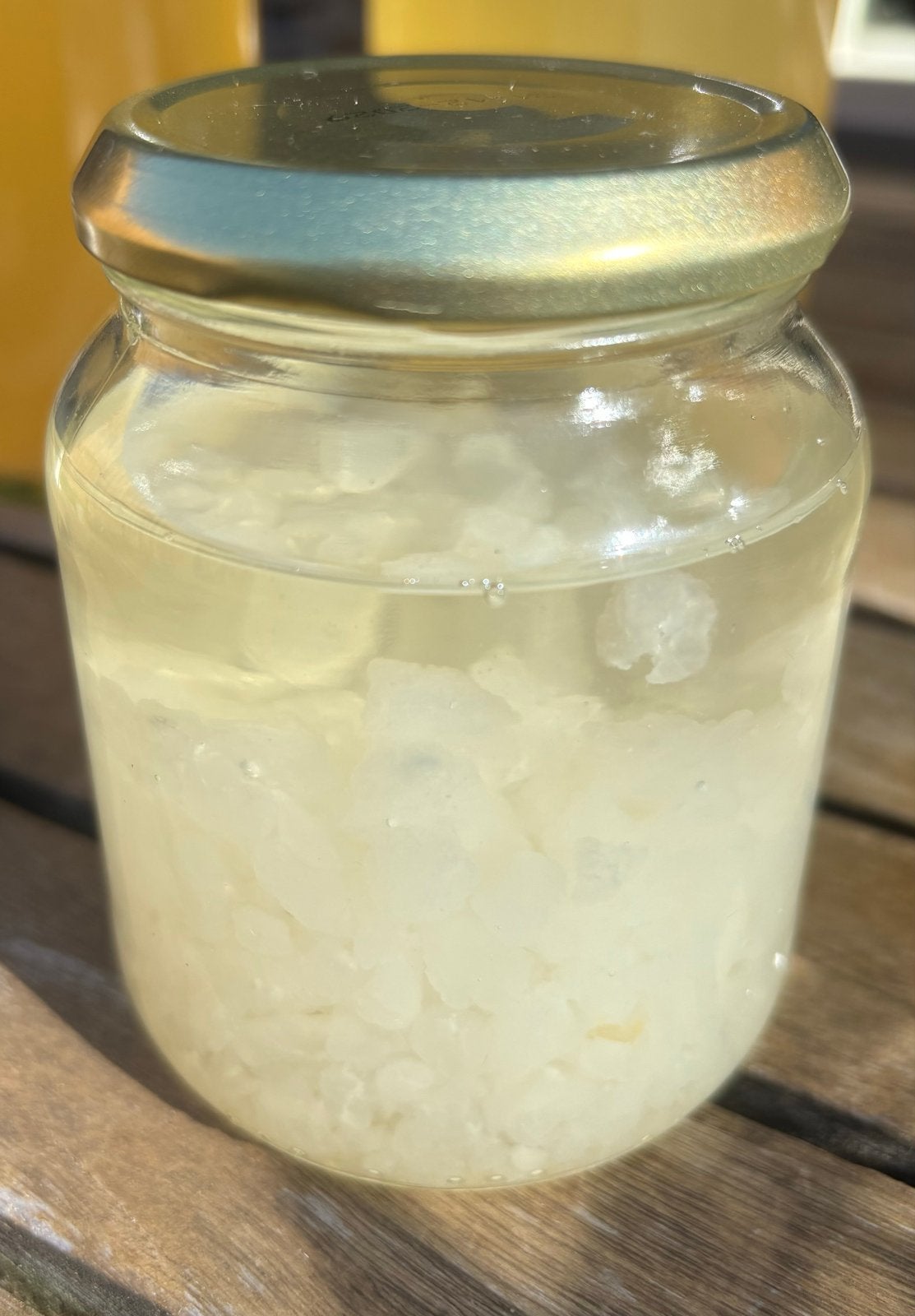 Waterkefir korrels 100gram, Ophalen