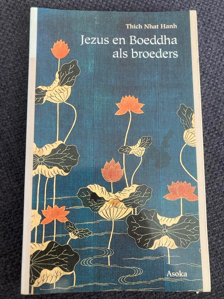 Jezus en Boeddha als broeders - Thich Nhat Hanh, Ophalen of Verzenden, Gelezen, Overige onderwerpen, Achtergrond en Informatie