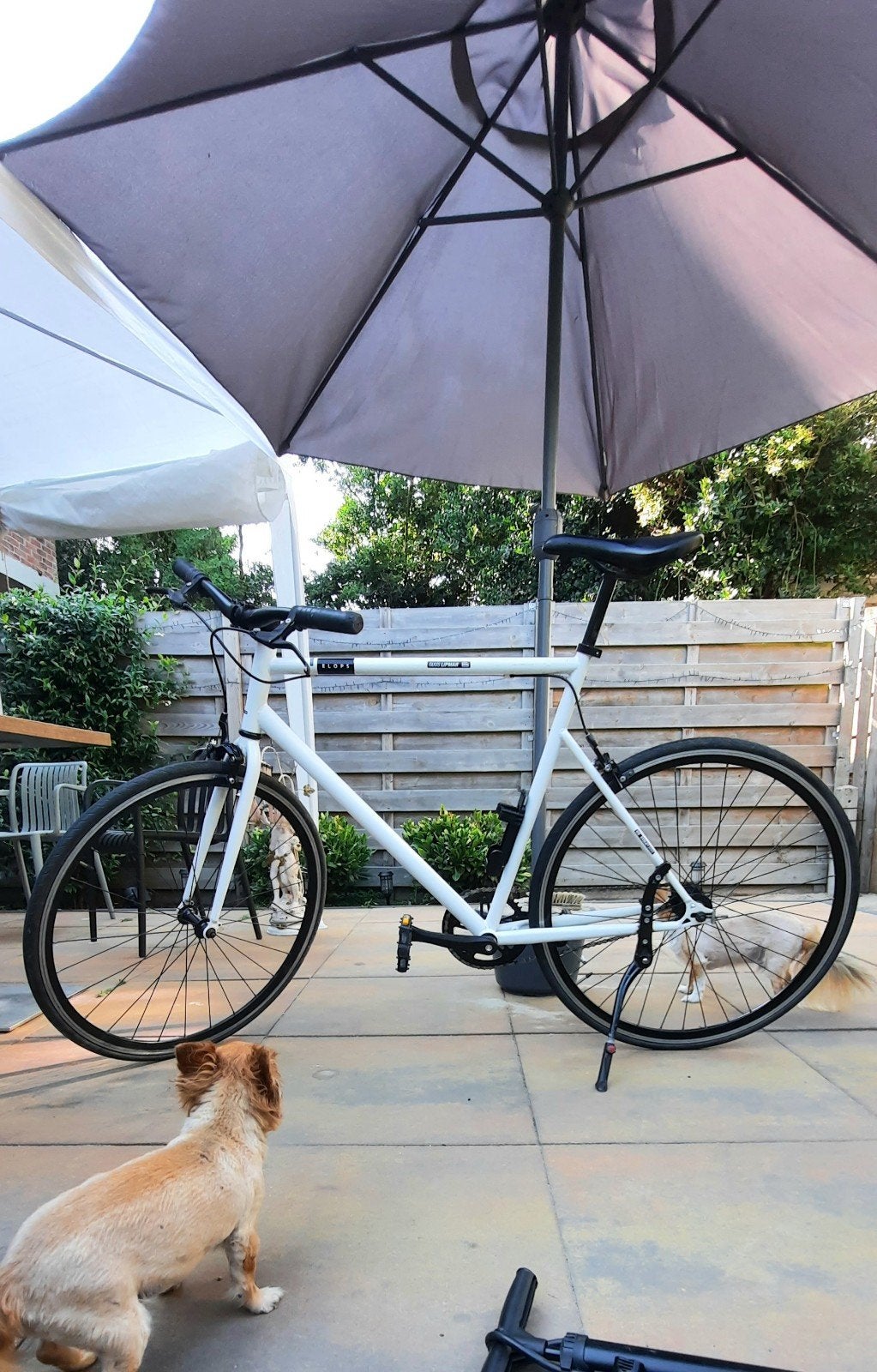 Elops sport city bike, Fietsen en Brommers, Terugtraprem, Heren, Zo goed als nieuw, Ophalen