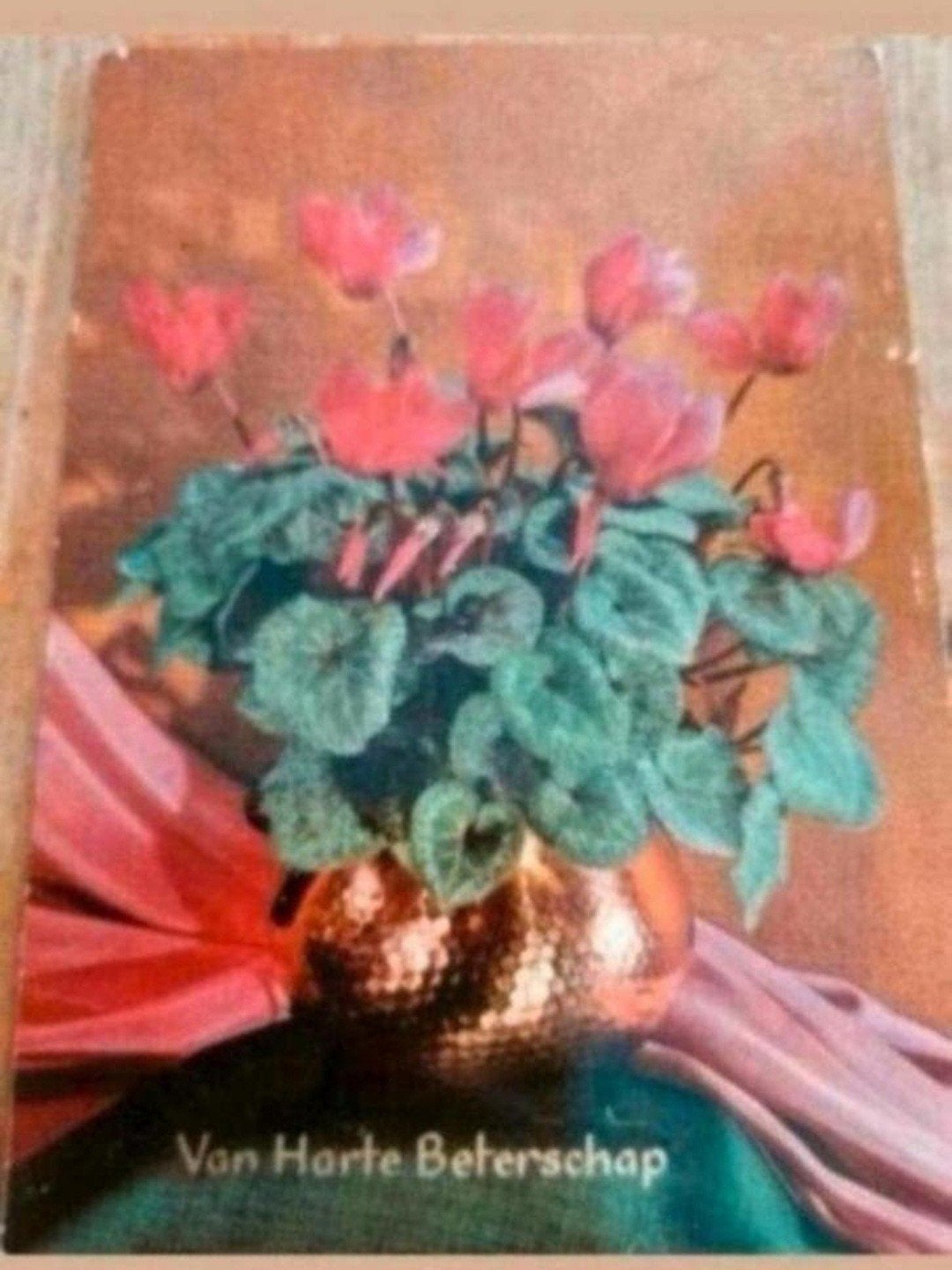 Vintage Ansichtkaart: Van Harte Beterschap - Cyclamen, Ophalen of Verzenden