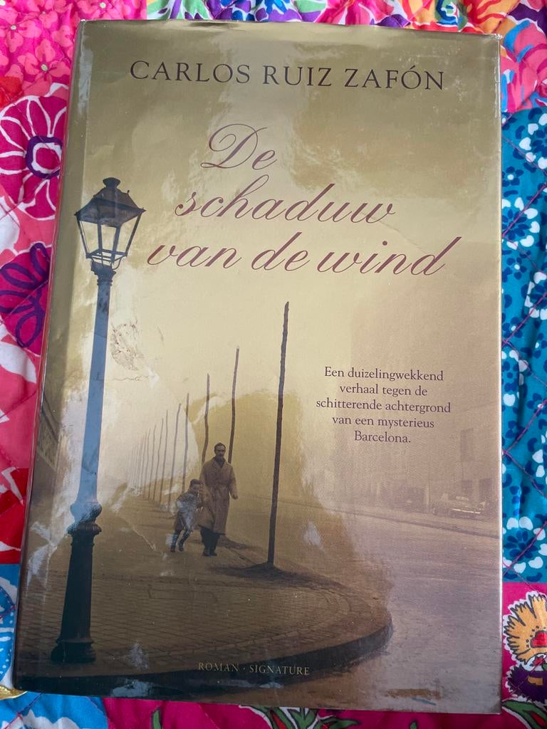 De schaduw van de wind - Carlos Ruiz Zafón, Boeken, Ophalen of Verzenden, Zo goed als nieuw, Europa overig