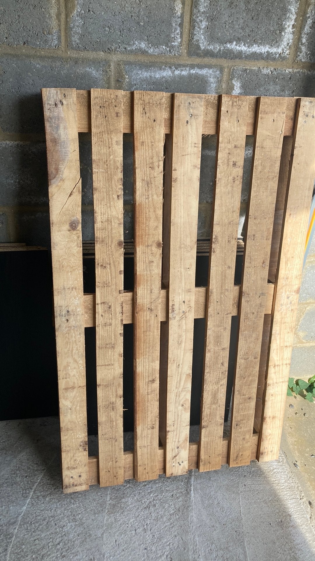 Gratis hout, Ophalen, Minder dan 25 mm, Zo goed als nieuw, Pallet