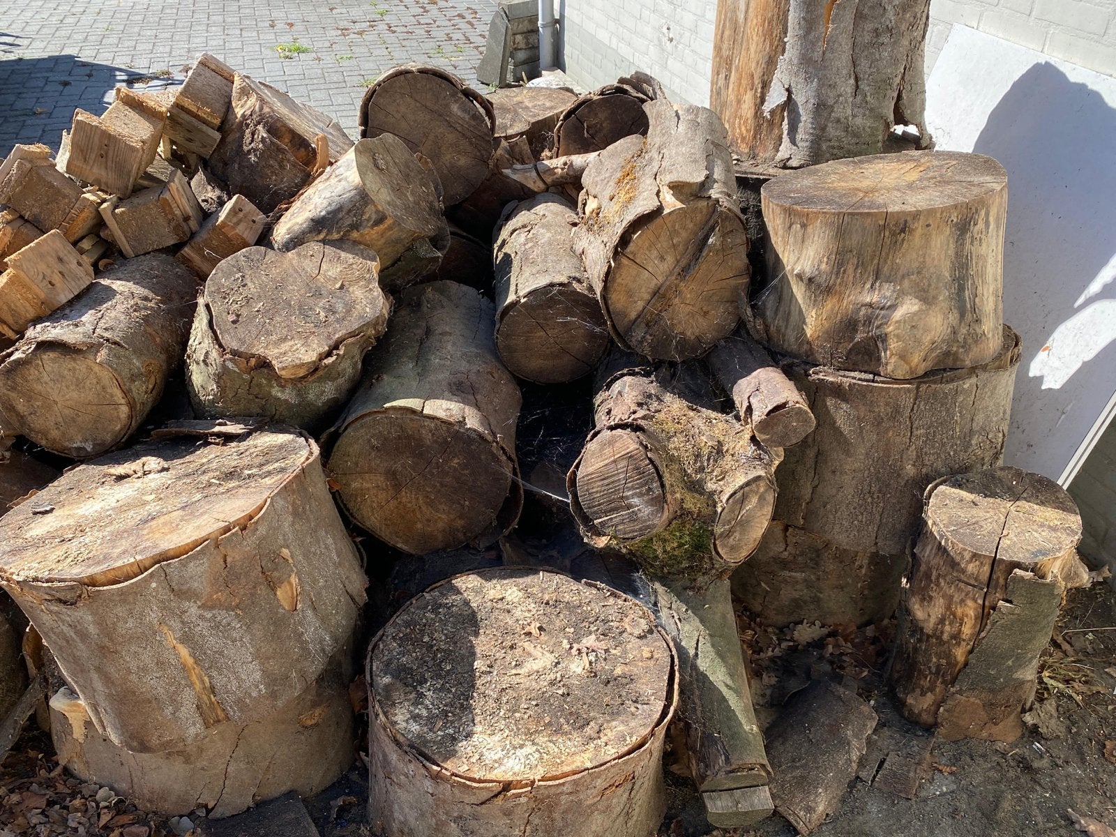 partij open haard hout en boomstammen, 3 tot 6 m³, Ophalen, Overige houtsoorten, Blokken