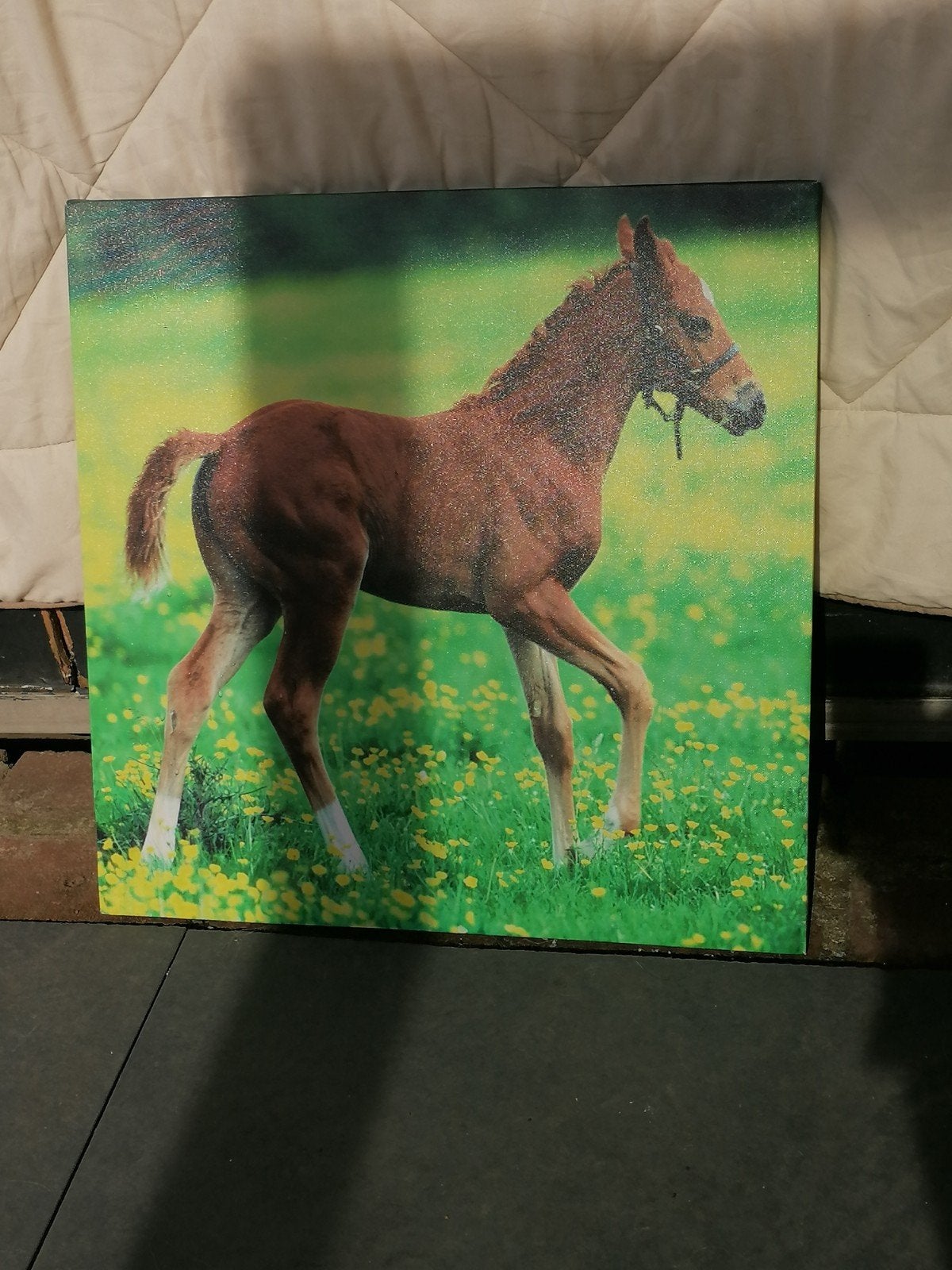 Canvas schilderij van een jong paard in een bloemenveld, Ophalen, 50 – 75, Gebruikt, Schilderij