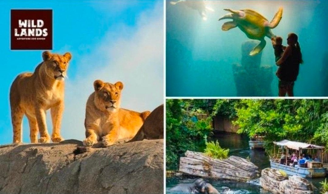 Tickets Wildlands geldig tm 31-07-2026, Drie personen of meer, Ticket of Toegangskaart