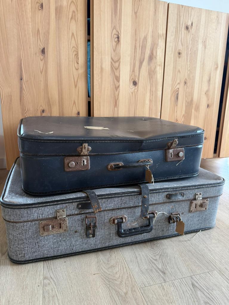 2 retro vintage koffers, Sieraden, Tassen en Uiterlijk, Koffers, Ophalen, Hard kunststof, 70 cm of meer