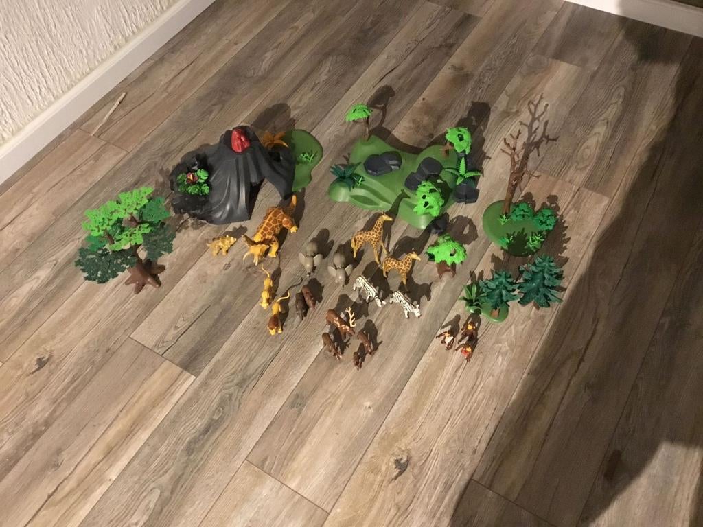 Playmobil Dierentuin Set met Dieren en Landschap, Ophalen of Verzenden, Gebruikt