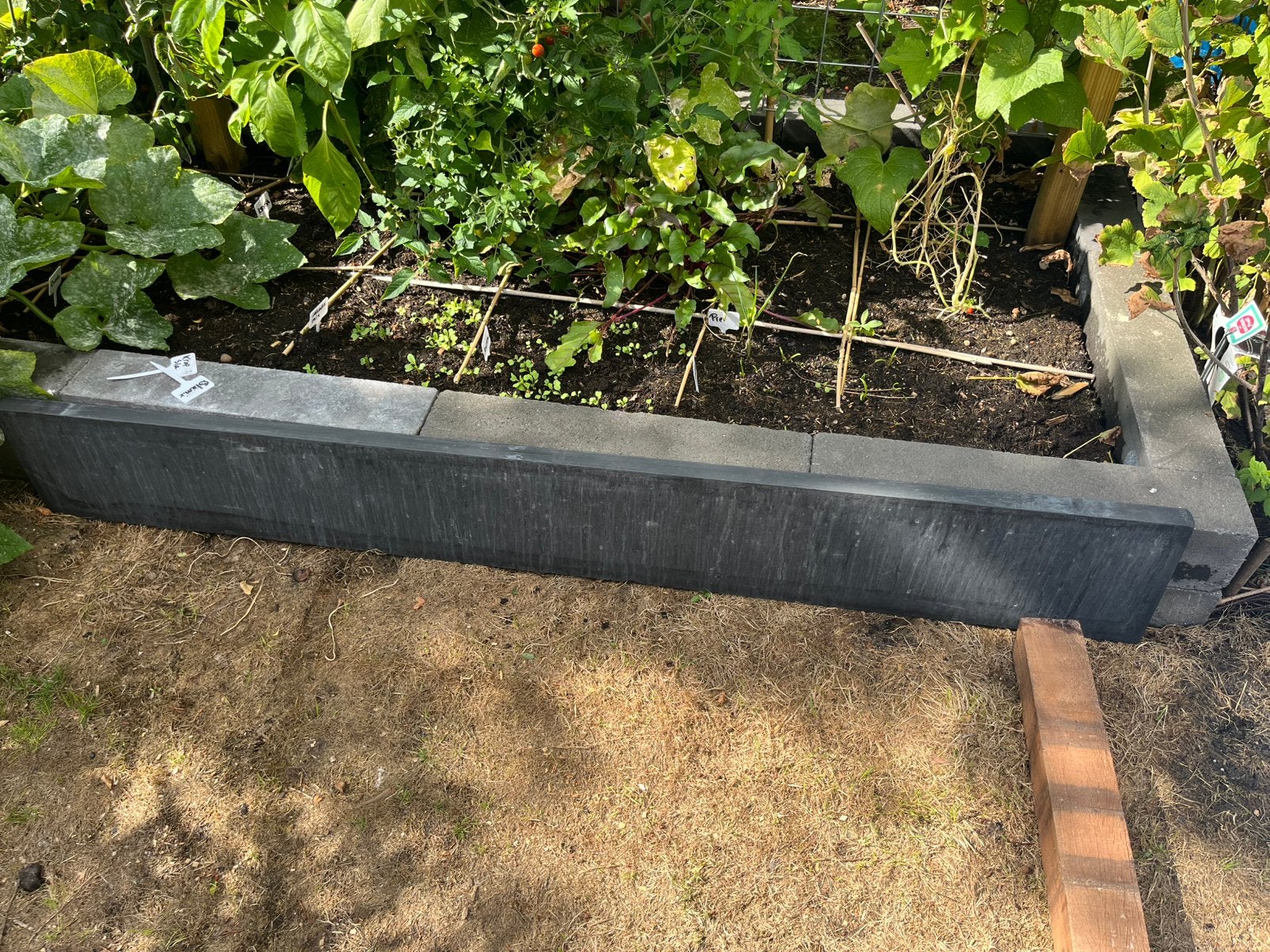 Betonband 180 cm, Ophalen, 100 tot 200 cm, Biels, Nieuw