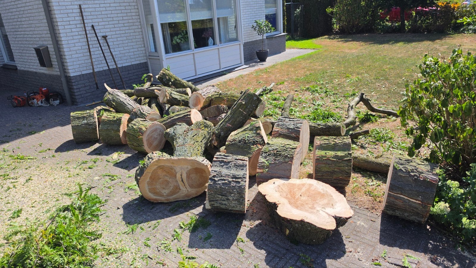 brandhout, Ophalen, Halfschaduw, Overige soorten, 100 tot 250 cm