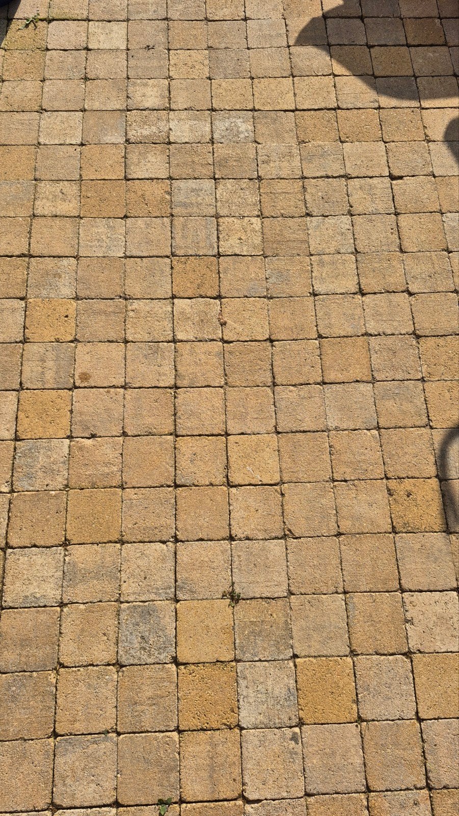 Stenen voor terras., Tuin en Terras, Ophalen, Gebruikt