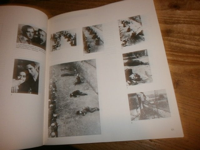 misdaden vd weermacht 100den schokkende foto's, Ophalen of Verzenden, Tweede Wereldoorlog, Nieuw, Overige onderwerpen