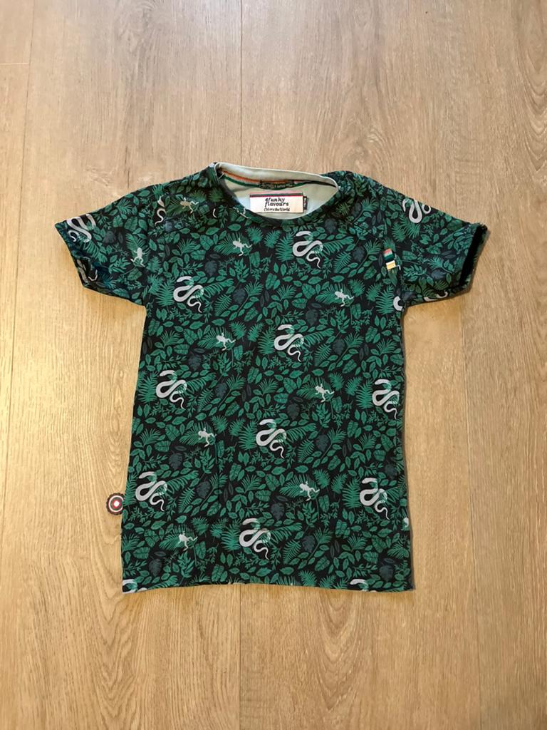 4 funky flavours mat 110 zgan groen slangen, Ophalen of Verzenden, Zo goed als nieuw, Meisje, Shirt of Longsleeve