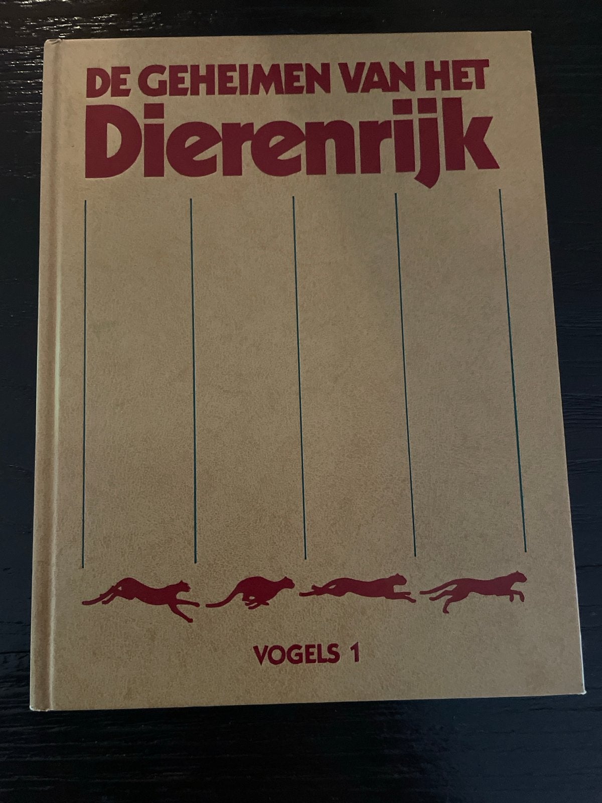 De Geheimen van het Dierenrijk - Vogels 1, Boeken, Ophalen of Verzenden, Gelezen, Vogels