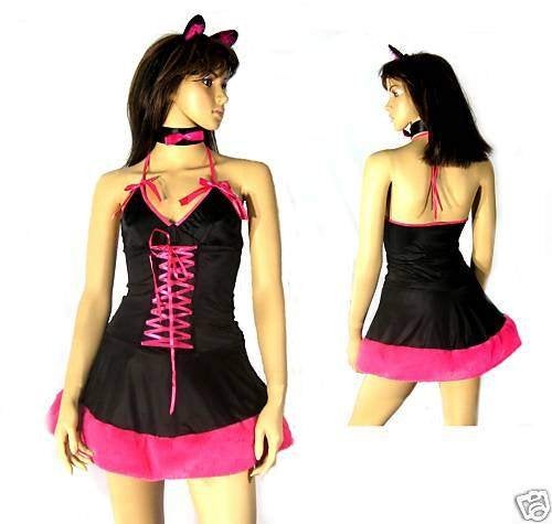 Leuk nieuw 4 delig Poezenoutfit Mt XS / S, Ophalen of Verzenden, Nieuw, Maat 34 (XS) of kleiner, Carnaval