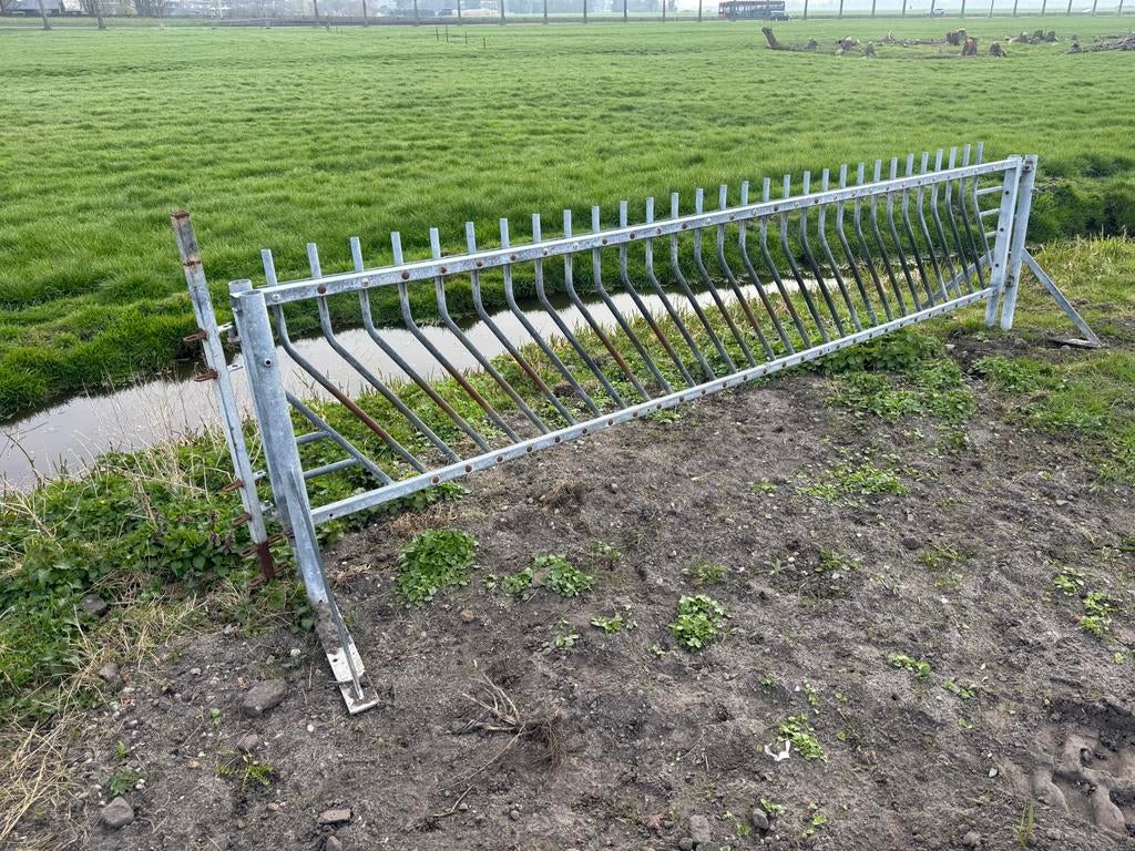 Schapen voerhek, Meerdere dieren, Schaap