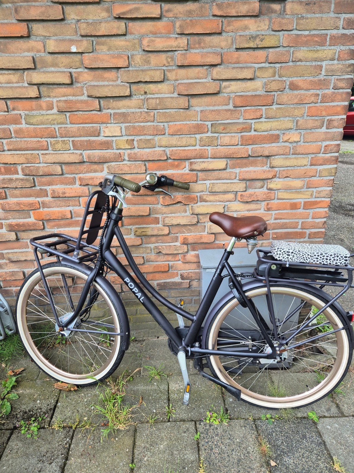 Popal elektrische fiets - 3 jaar oud - groot frame - defect, Ophalen
