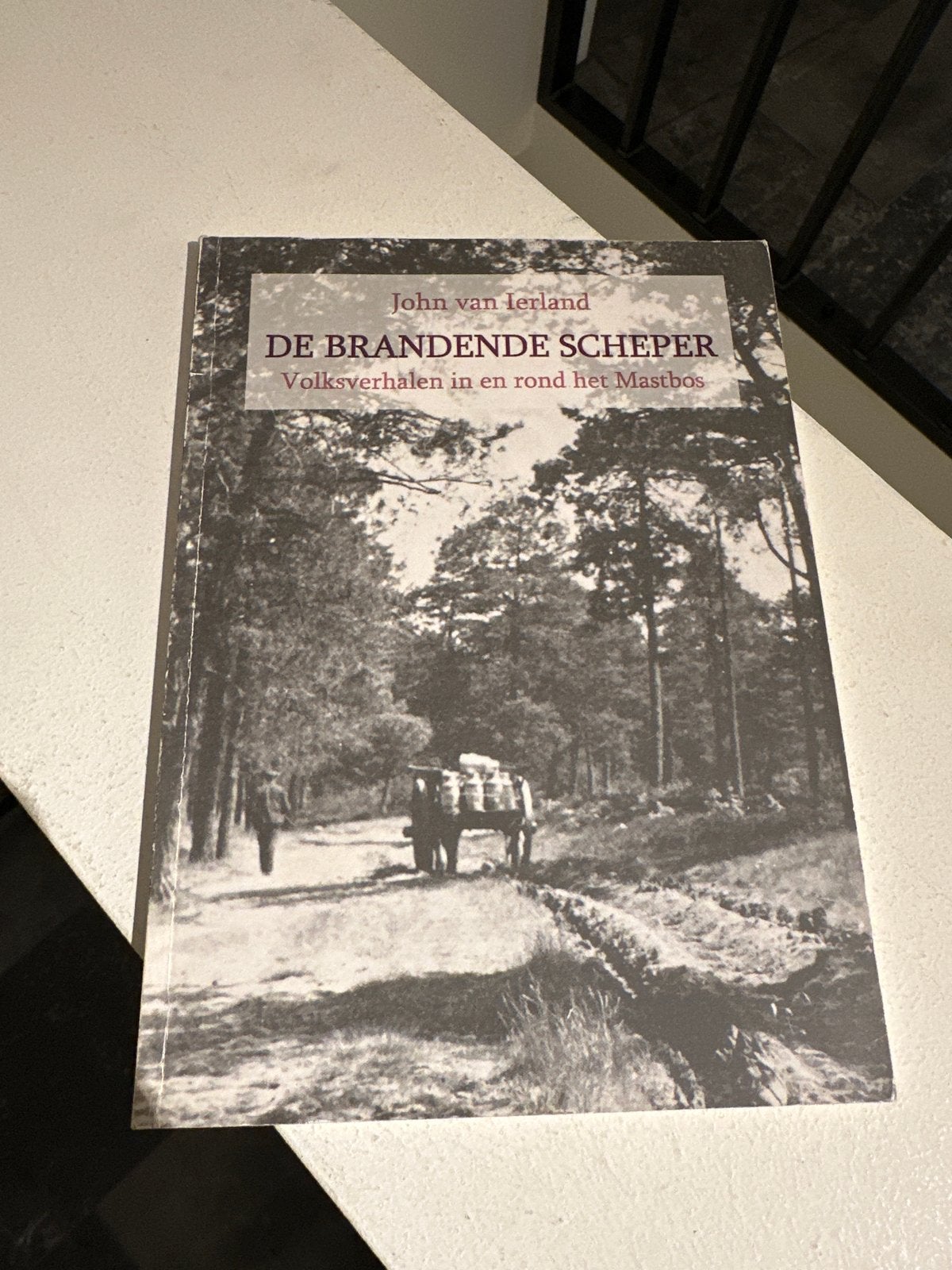De Brandende Scheper: Volksverhalen in en rond het Mastbos, Ophalen of Verzenden, Zo goed als nieuw