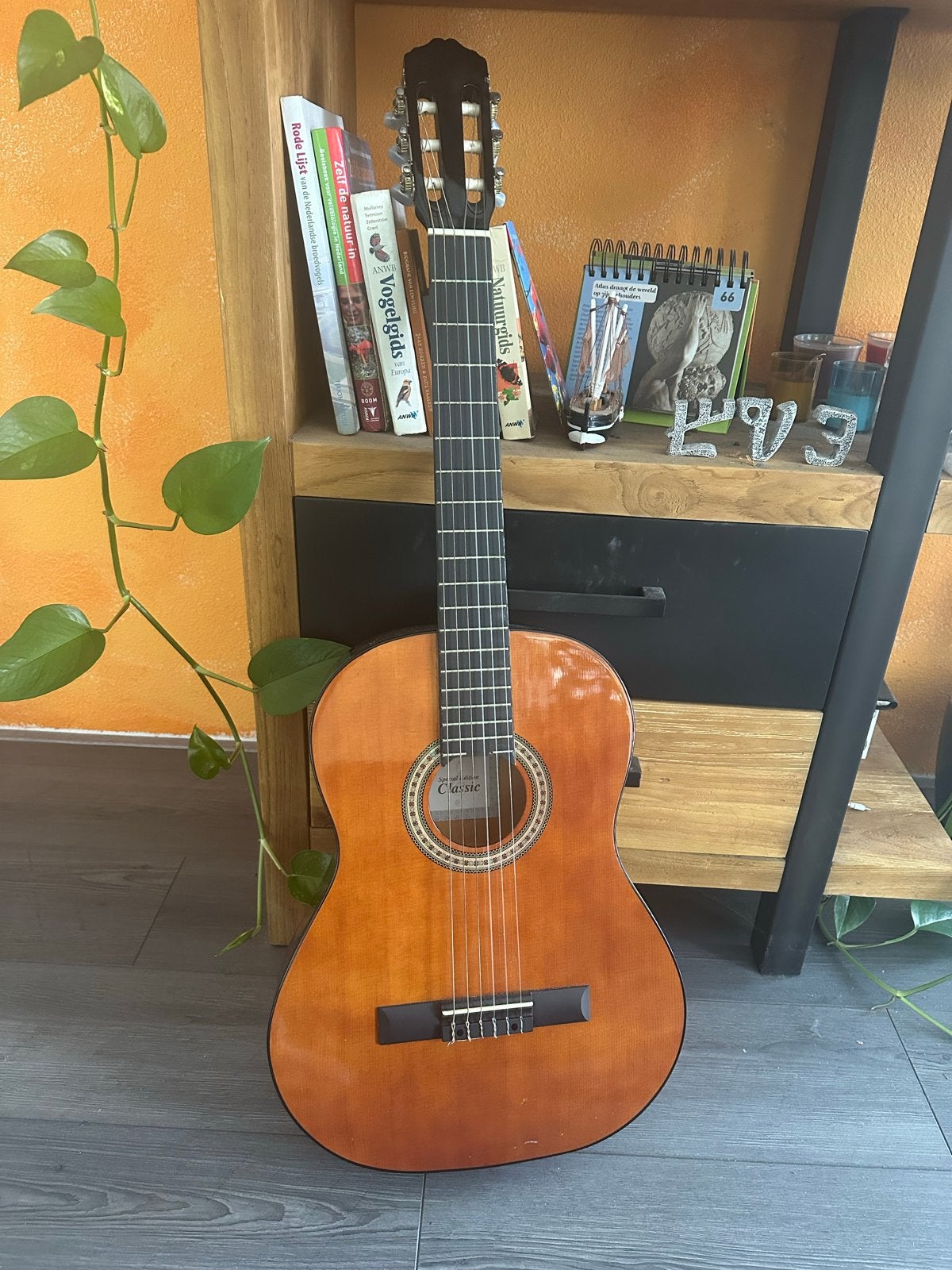 Beginners Klassieke Gitaar - Perfect voor gitaarlessen, Ophalen, Gebruikt, Klassieke of Spaanse gitaar