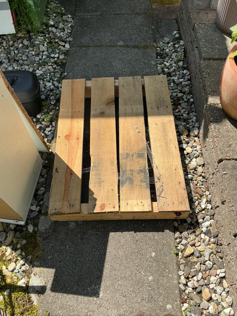 Gratis pallet, Ophalen, Vuren, Minder dan 200 cm, Pallet
