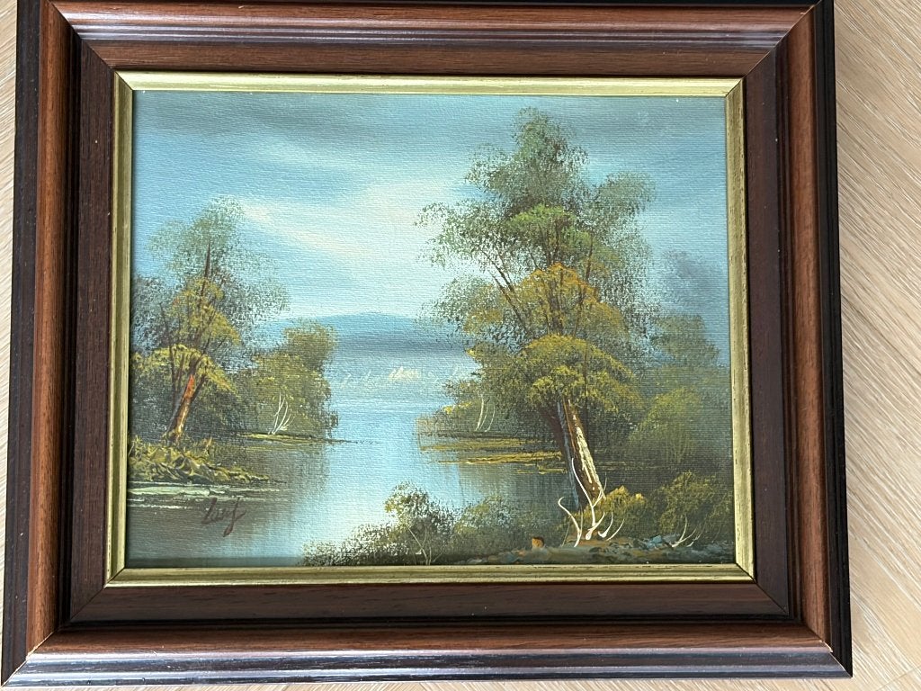 mooi schilderijtje, Ophalen of Verzenden