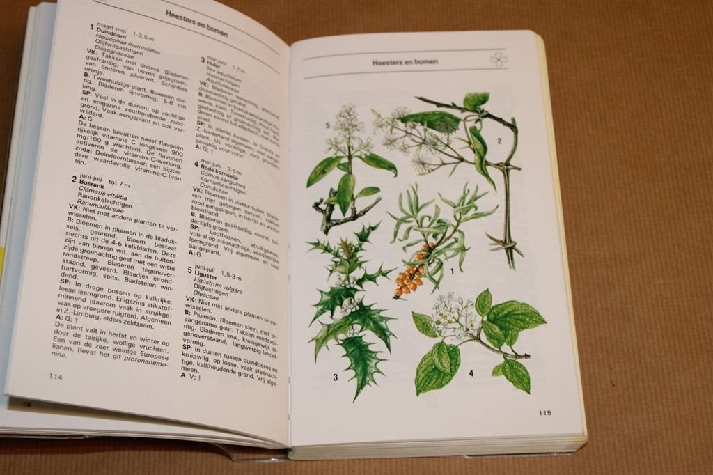 Wat Bloeit Daar? [1988] — Plantengids West-Europa, Boeken, Natuur, Ophalen of Verzenden, Gelezen