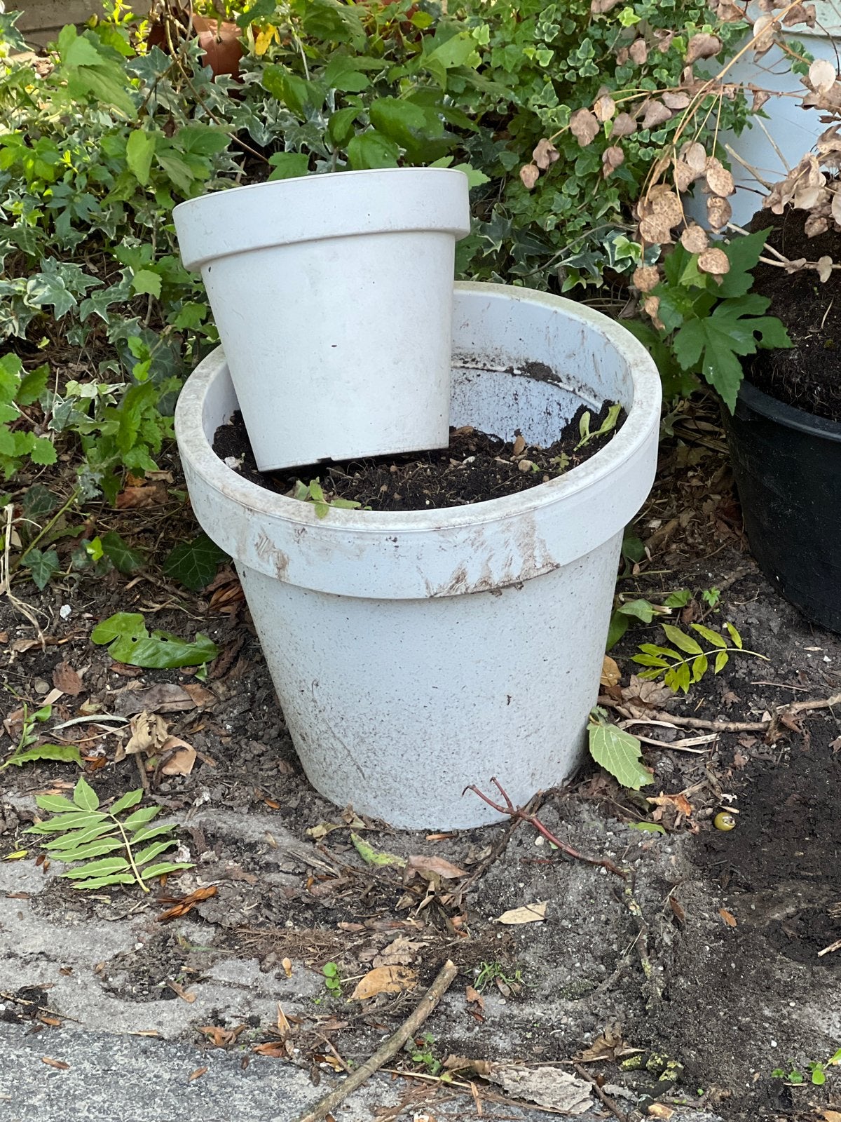 Witte plastic potten 6x, Tuin en Terras, Ophalen, Kunststof, Gebruikt, 40 cm of meer