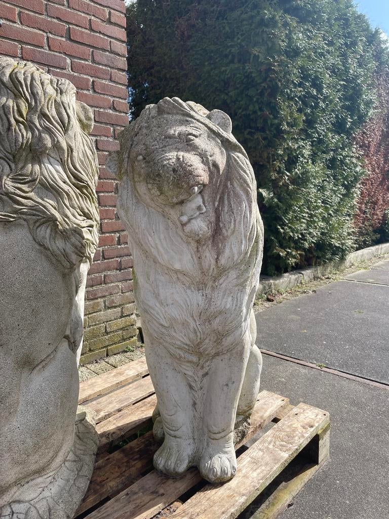 Prachtige betonnen leeuw - Tuinbeeld, Tuin en Terras, Tuinbeelden, Ophalen of Verzenden, Gebruikt, Beton, Dierenbeeld