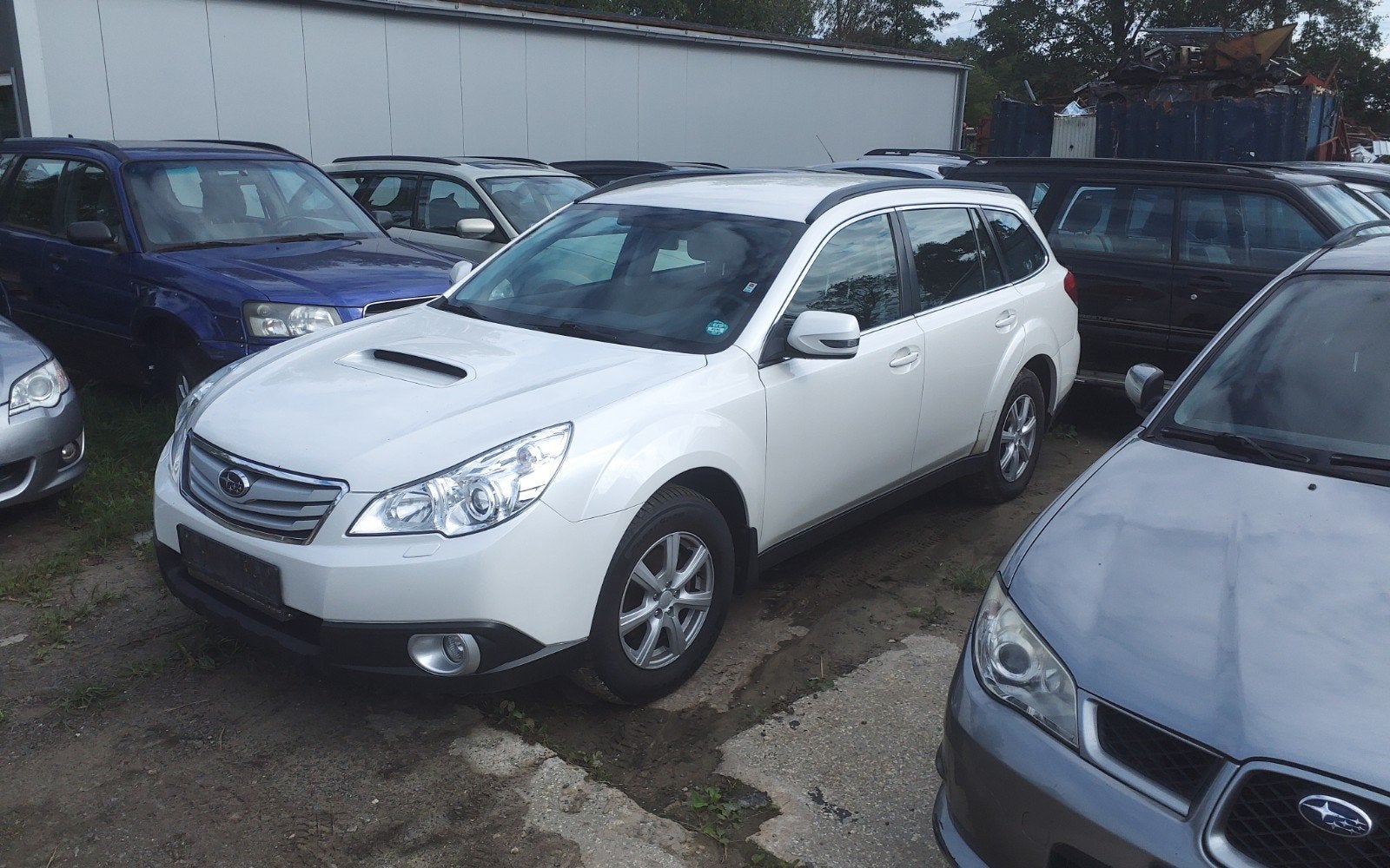 Alle plaatwerk outback br wit kleurcode 37j, Ophalen of Verzenden, Voor, Subaru, Spatbord