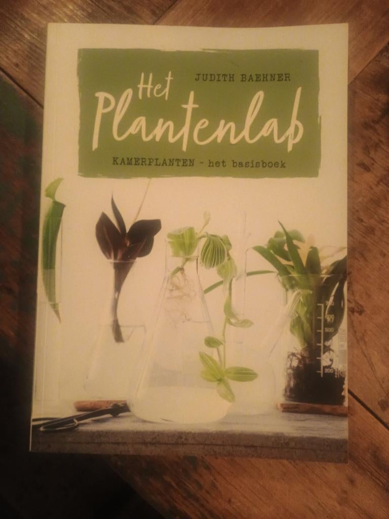 Het Plantenlab: Kamerplanten - het basisboek, Boeken, Ophalen of Verzenden, Zo goed als nieuw, Judith Baehner, Kamerplanten