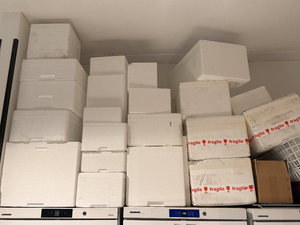 Isolerende piepschuim dozen in div. maten, Ophalen, Doos, Minder dan 35 cm, Minder dan 50 cm