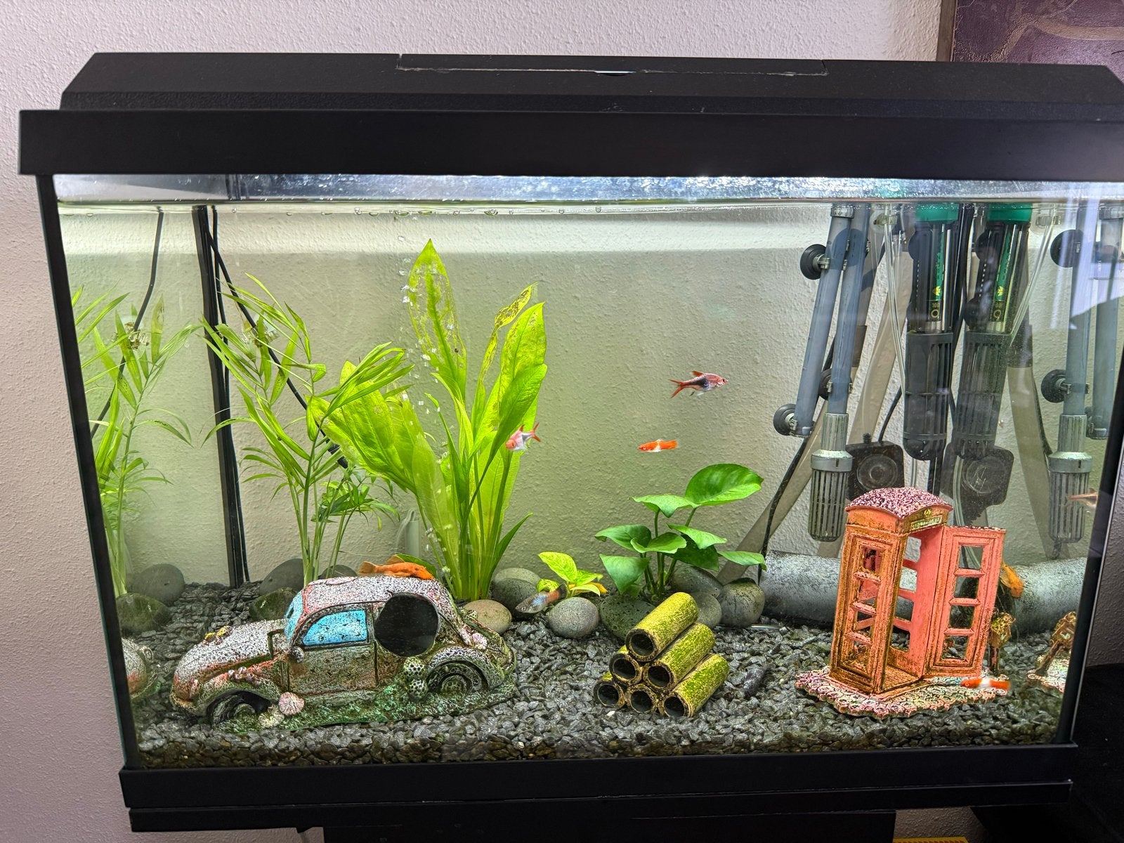 Compleet aquarium inclusief vissen, filter etc., Dieren en Toebehoren, Vissen | Aquaria en Toebehoren, Ophalen, Zo goed als nieuw