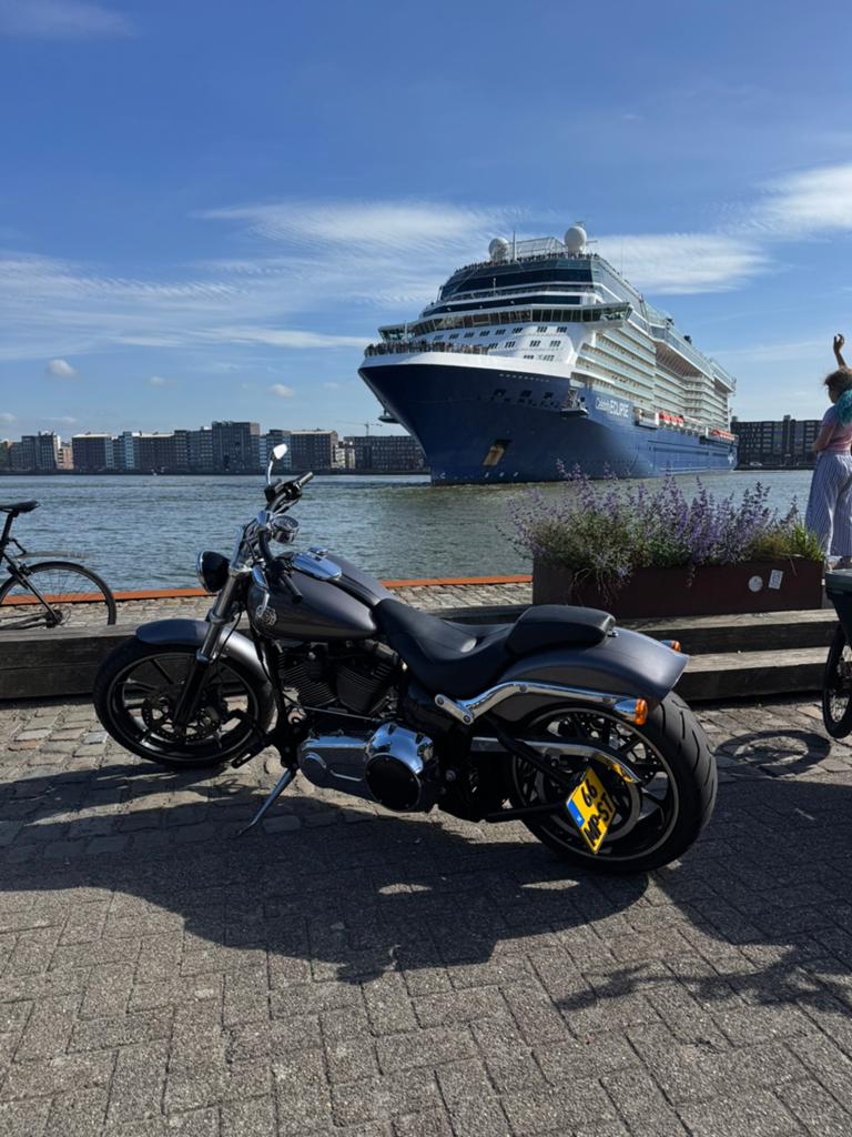 Te Koop: Unieke Custom Harley-Davidson, Motoren, Motoren | Harley-Davidson, HD, 2 cilinders, Info@hd.nl, Meer dan 35 kW