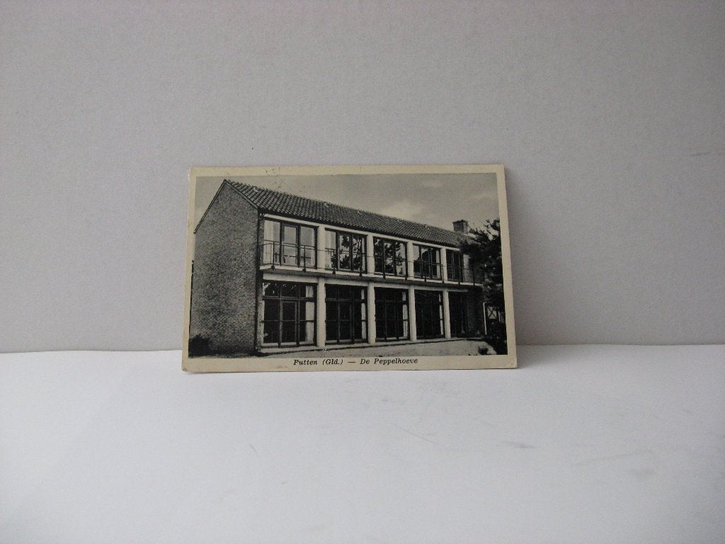 Putten (Gld ) de Peppelhoeve zwart wit, Verzamelen, Ansichtkaarten | Nederland, Ophalen of Verzenden, Voor 1920, Gelopen, Noord-Brabant