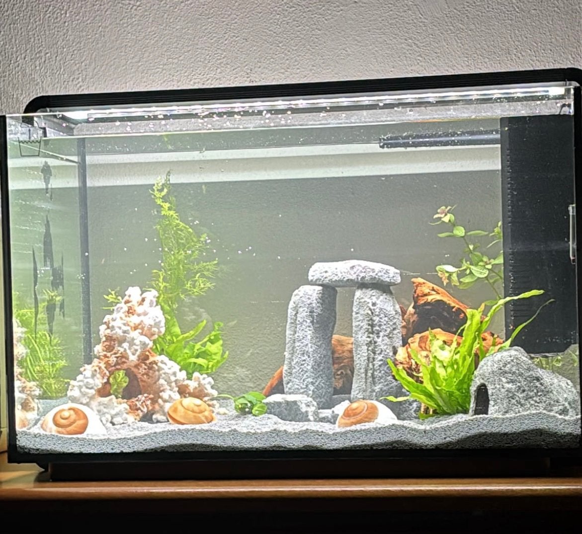 superfish home led pro 85, Ophalen, Inclusief controller, Zo goed als nieuw, Leeg aquarium