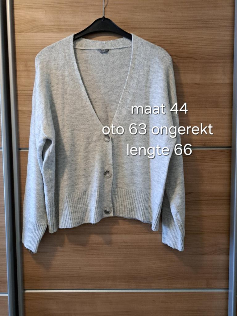 Lichtgrijs vest maat 44, Ophalen of Verzenden, Zo goed als nieuw, Maat 46/48 (XL) of groter, Grijs