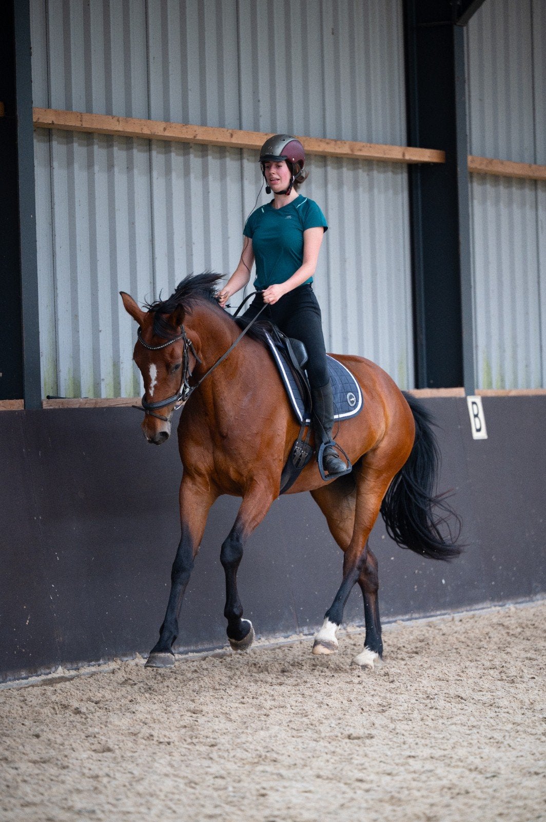 Enthousiast bijrijder gezocht M1 niveau, Dieren en Toebehoren, Paarden en Pony's | Verzorgingsproducten, Ophalen, Nieuw