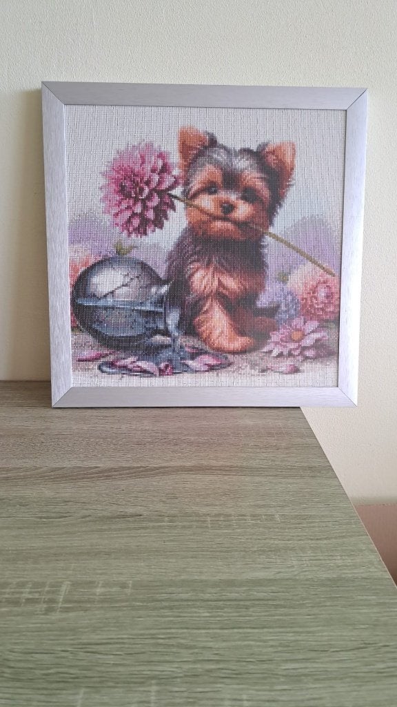 diamond painting, Hobby en Vrije tijd, Knutselen, Ophalen of Verzenden, Nieuw, Knutselwerk