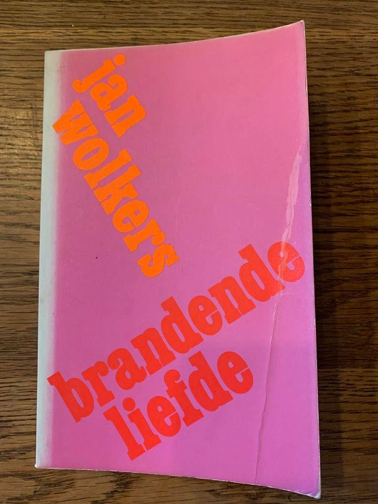 BRANDENDE LIEFDE - Jan Wolkers - Eerste druk (1981), Ophalen of Verzenden, Gelezen, Nederland