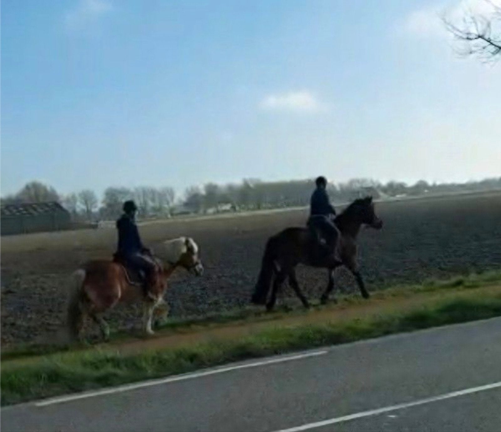 Bijrijder gezocht voor verzorg pony., Dieren en Toebehoren, Paarden en Pony's | Overige Paardenspullen, Ophalen, Nieuw, Recreatie
