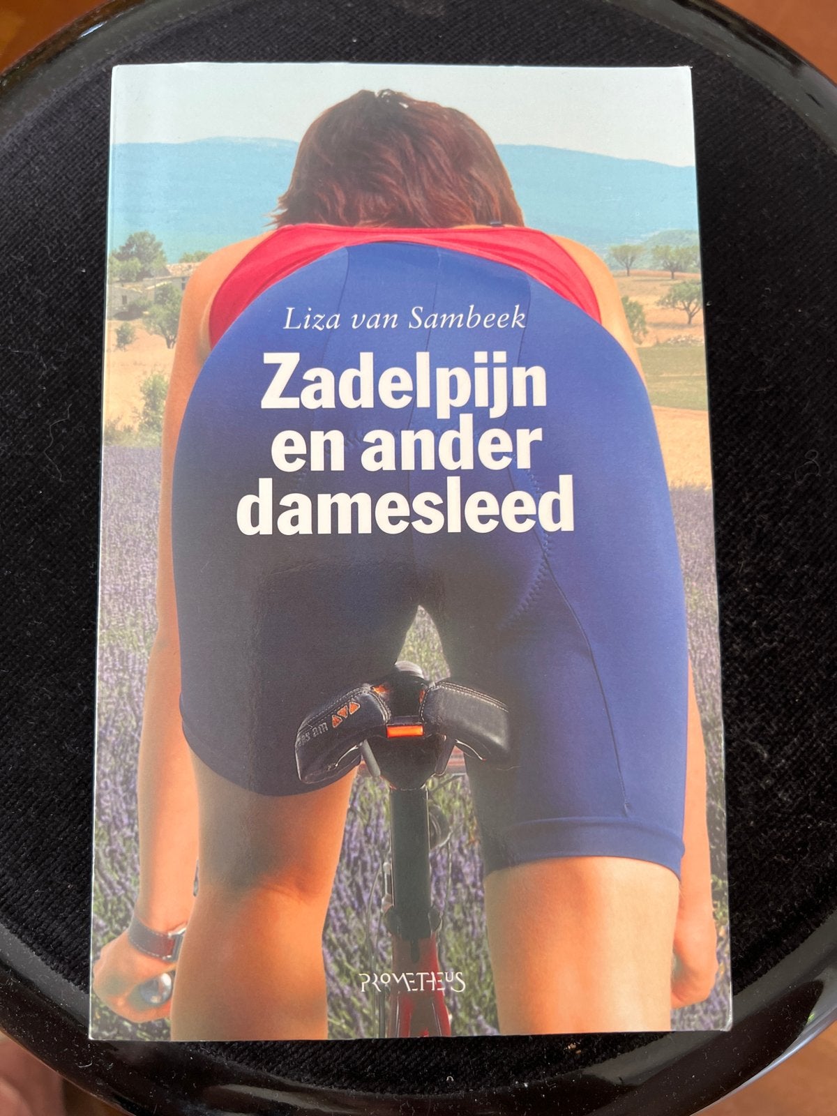 Zadelpijn en ander damesleed - Liza van Sambeek, Boeken, Ophalen of Verzenden, Gelezen, Nederland