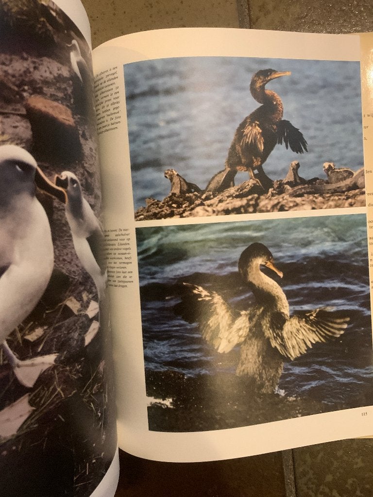De Wonderlijke Natuur Tropische Vogels - vogelboek, Ophalen of Verzenden, Gelezen, Vogels