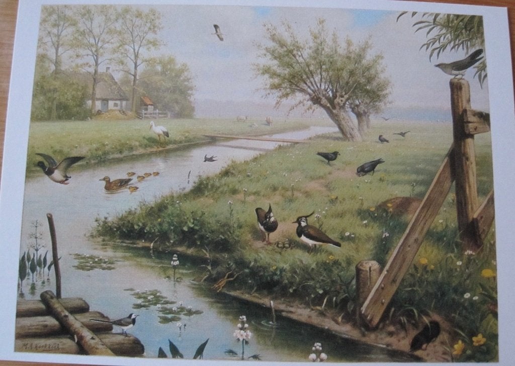 Voor het kind - in de weide - M.A. Koekkoek, Verzenden, 1980 tot heden, Ongelopen, Overige thema's
