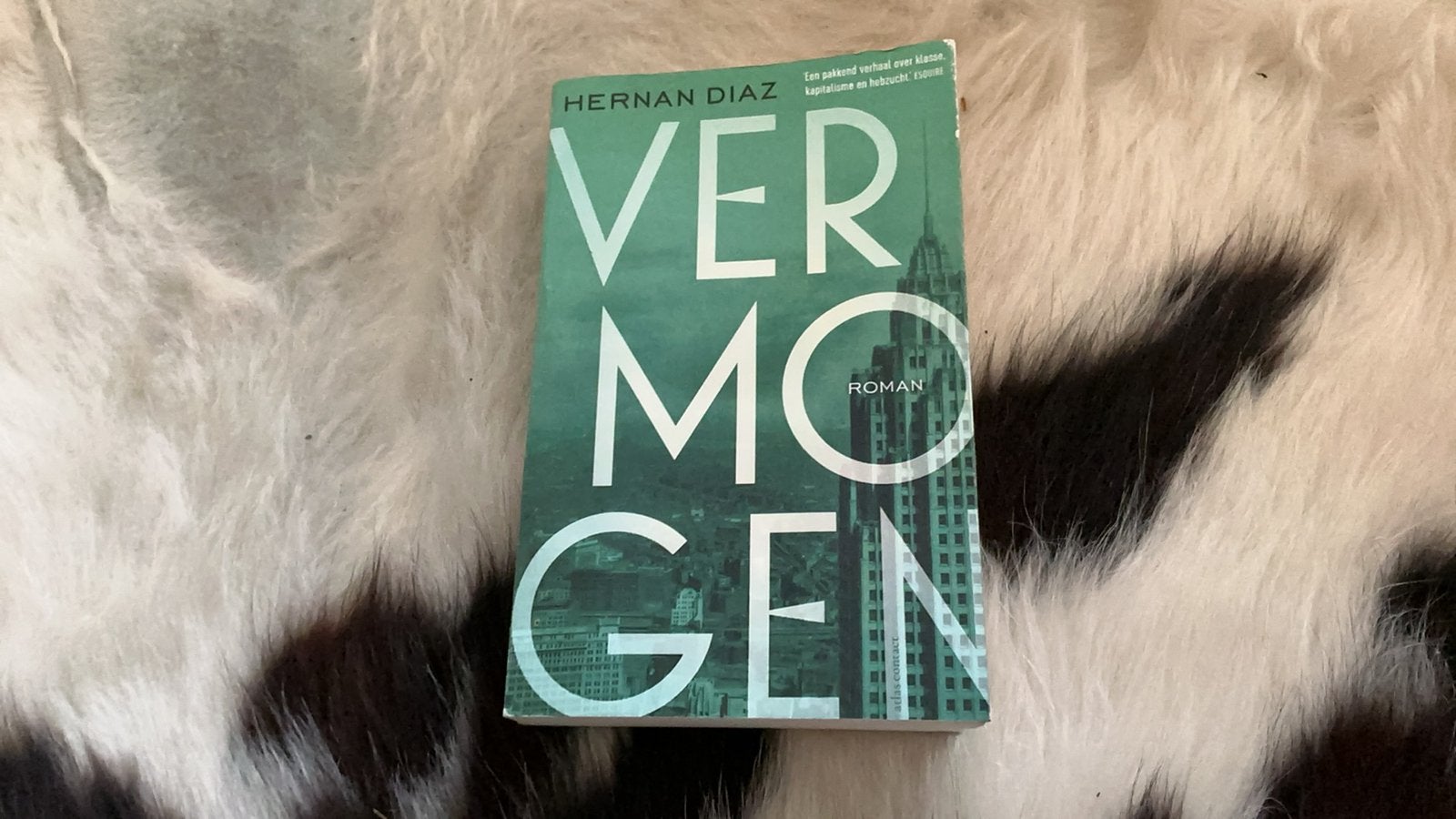 Hernan Diaz - Vermogen, Gelezen, Hernan Diaz, Ophalen of Verzenden, Amerika